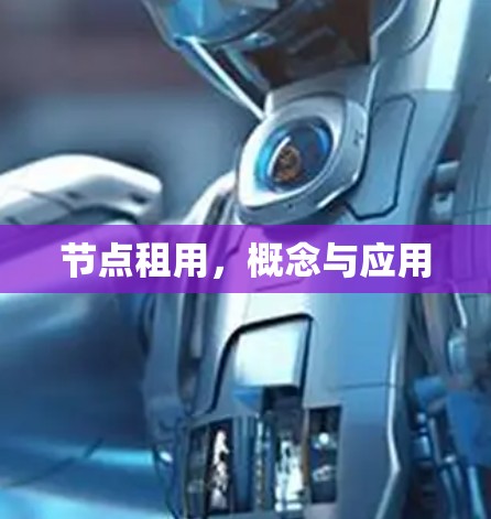 节点租用,概念与应用 节点租用,概念与应用