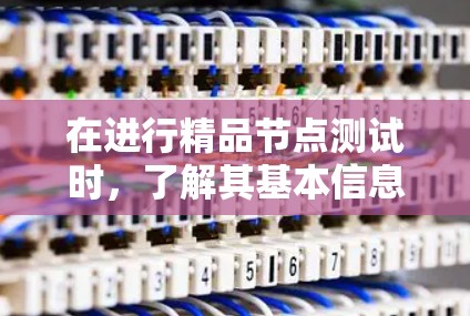 在进行精品节点测试时,了解其基本信息和相关流程是非常重要的。以下是一个有条理的总结和分步指南 在进行精品节点测试时,了解其基本信息和相关流程是非常重要的。以下是一个有条理的总结和分步指南