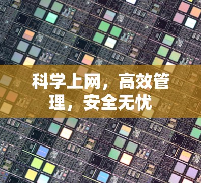 科学上网,高效管理,安全无忧 科学上网,高效管理,安全无忧