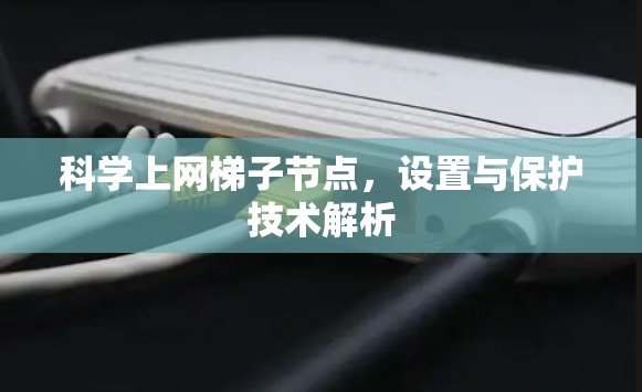 科学上网梯子节点,设置与保护技术解析 科学上网梯子节点,设置与保护技术解析