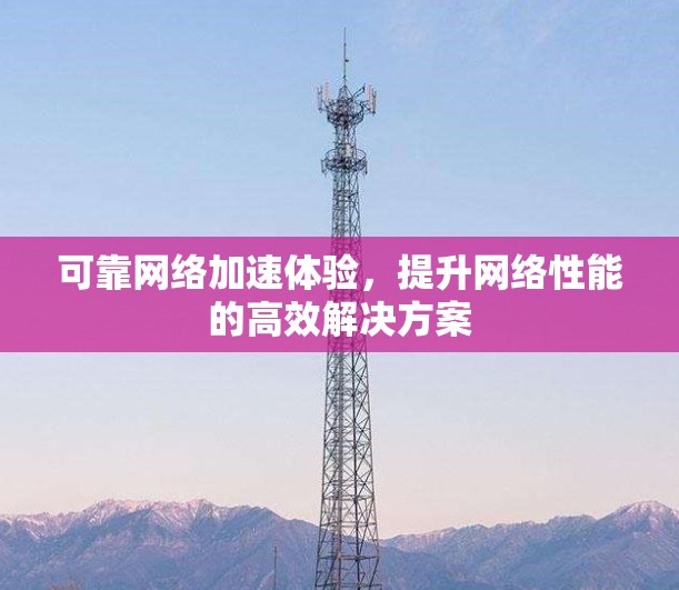 可靠网络加速体验，提升网络性能的高效解决方案