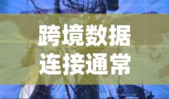 跨境数据连接通常指的是在跨地区的或跨国家的背景下，能够实现不同区域或设备之间的数据传输和共享的网络或技术连接。这种连接通常涉及到数据的传输、存储和处理，以便可以在不同地方或不同时间使用相同的数据资源
