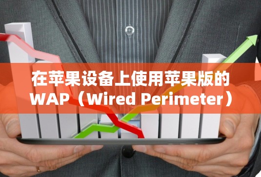 在苹果设备上使用苹果版的WAP（Wired Perimeter）和翻墙工具，如Fastlink和Wifileafcn，可以帮助用户快速连接到外部网络，进行翻墙或快速连接。以下是详细的步骤和使用方法