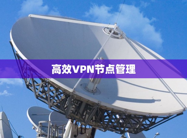 高效VPN节点管理