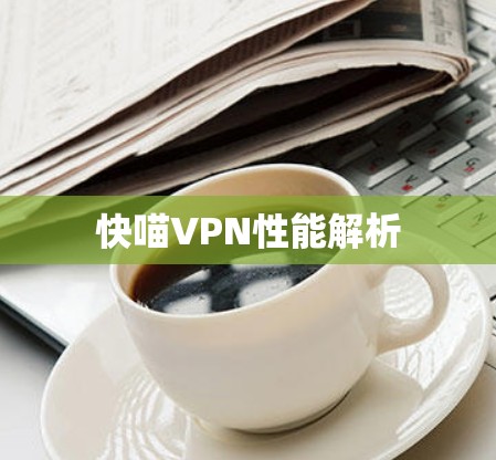 快喵VPN性能解析