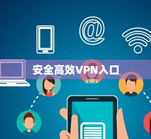 安全高效VPN入口