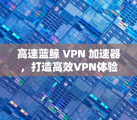高速蓝鲸 VPN 加速器,打造高效VPN体验 高速蓝鲸 VPN 加速器,打造高效VPN体验