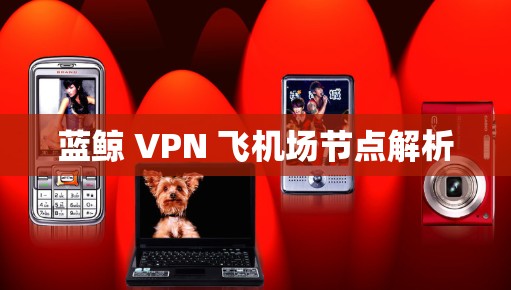 蓝鲸 VPN 飞机场节点解析 蓝鲸 VPN 飞机场节点解析