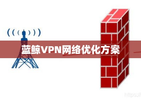 蓝鲸VPN网络优化方案 蓝鲸VPN网络优化方案