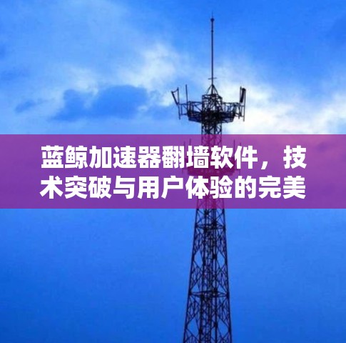蓝鲸加速器翻墙软件,技术突破与用户体验的完美结合 蓝鲸加速器翻墙软件,技术突破与用户体验的完美结合