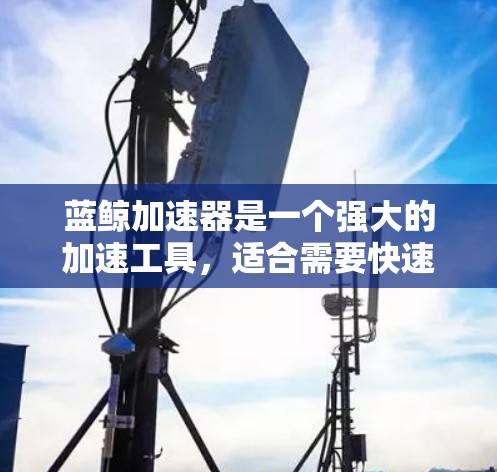 蓝鲸加速器是一个强大的加速工具,适合需要快速浏览和下载网页的用户。以下是使用蓝鲸加速器的步骤说明 蓝鲸加速器是一个强大的加速工具,适合需要快速浏览和下载网页的用户。以下是使用蓝鲸加速器的步骤说明