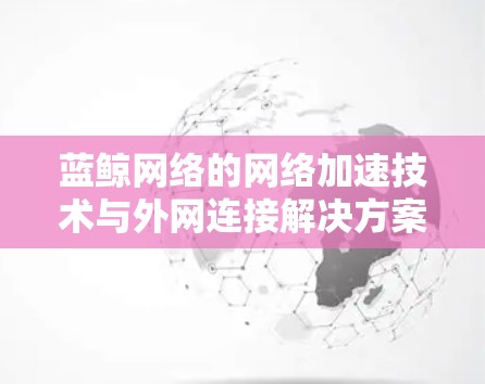 蓝鲸网络的网络加速技术与外网连接解决方案 蓝鲸网络的网络加速技术与外网连接解决方案