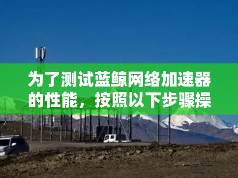 为了测试蓝鲸网络加速器的性能,按照以下步骤操作 为了测试蓝鲸网络加速器的性能,按照以下步骤操作