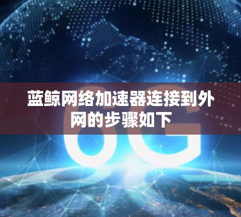 蓝鲸网络加速器连接到外网的步骤如下 蓝鲸网络加速器连接到外网的步骤如下