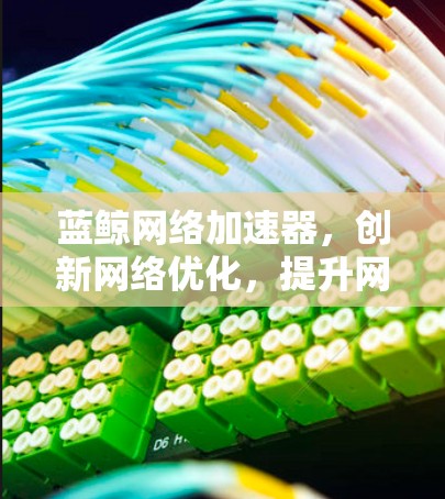 蓝鲸网络加速器,创新网络优化,提升网络性能 蓝鲸网络加速器,创新网络优化,提升网络性能