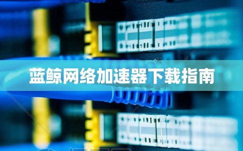 蓝鲸网络加速器下载指南 蓝鲸网络加速器下载指南