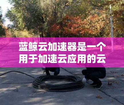 蓝鲸云加速器是一个用于加速云应用的云服务，帮助用户提升应用性能，减少资源消耗。以下是使用蓝鲸云加速器的详细指南