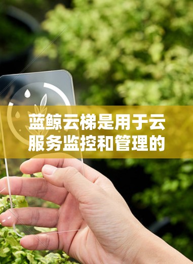 蓝鲸云梯是用于云服务监控和管理的梯形云网关设备。它通常用于监控云服务器、存储、TURNaround服务等资源的状态，确保数据安全和可用性