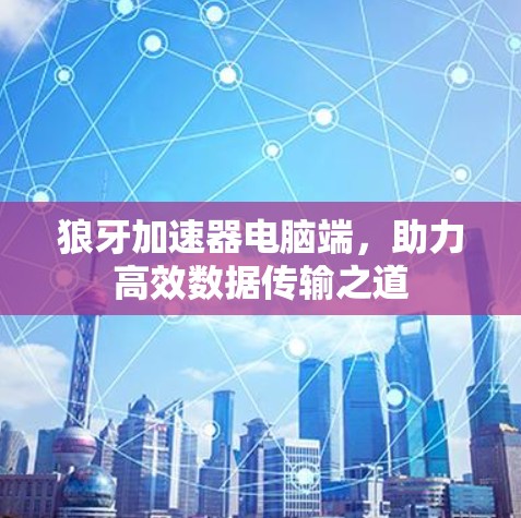 狼牙加速器电脑端,助力高效数据传输之道 狼牙加速器电脑端,助力高效数据传输之道