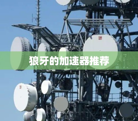 狼牙的加速器推荐 狼牙的加速器推荐