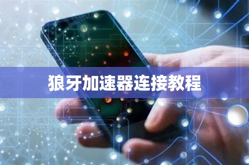 狼牙加速器连接教程