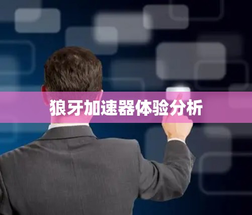 狼牙加速器体验分析 狼牙加速器体验分析