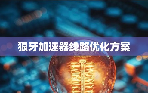 狼牙加速器线路优化方案 狼牙加速器线路优化方案