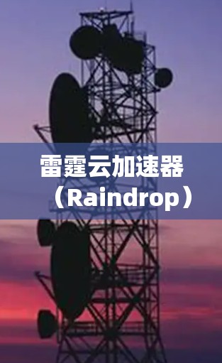 雷霆云加速器(Raindrop)是用于网页加速的工具,能够减少网络延迟,提升网页加载速度。以下是详细的使用步骤和关键信息 雷霆云加速器(Raindrop)是用于网页加速的工具,能够减少网络延迟,提升网页加载速度。以下是详细的使用步骤和关键信息