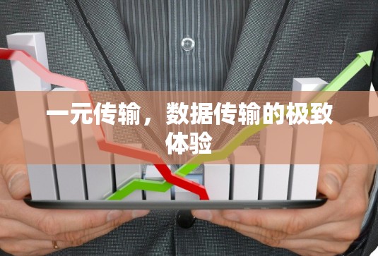 一元传输,数据传输的极致体验 一元传输,数据传输的极致体验