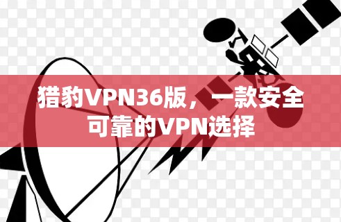 猎豹VPN36版,一款安全可靠的VPN选择 猎豹VPN36版,一款安全可靠的VPN选择
