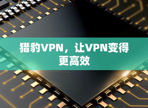 猎豹VPN,让VPN变得更高效 猎豹VPN,让VPN变得更高效