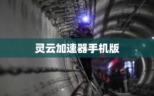 灵云加速器手机版 灵云加速器手机版