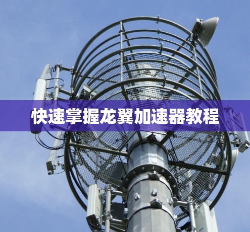快速掌握龙翼加速器教程 快速掌握龙翼加速器教程