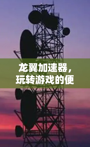龙翼加速器,玩转游戏的便捷工具 龙翼加速器,玩转游戏的便捷工具