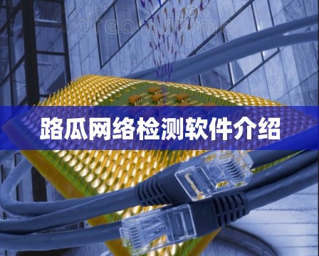 路瓜网络检测软件介绍 路瓜网络检测软件介绍