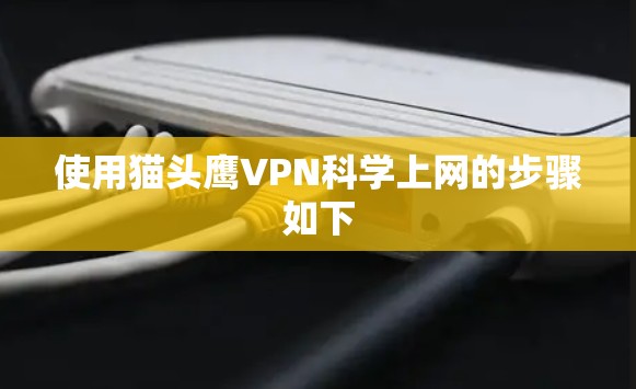 使用猫头鹰VPN科学上网的步骤如下 使用猫头鹰VPN科学上网的步骤如下