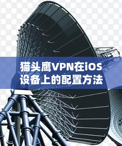 猫头鹰VPN在iOS设备上的配置方法如下 猫头鹰VPN在iOS设备上的配置方法如下