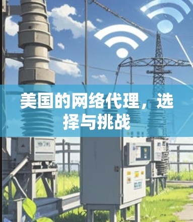美国的网络代理，选择与挑战