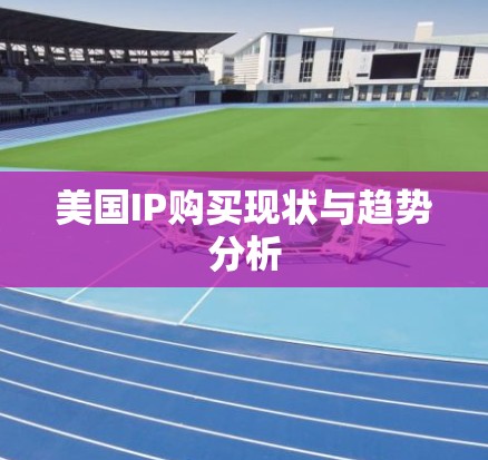 美国IP购买现状与趋势分析 美国IP购买现状与趋势分析