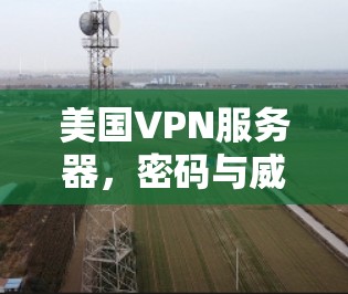 美国VPN服务器,密码与威胁的较量 美国VPN服务器,密码与威胁的较量