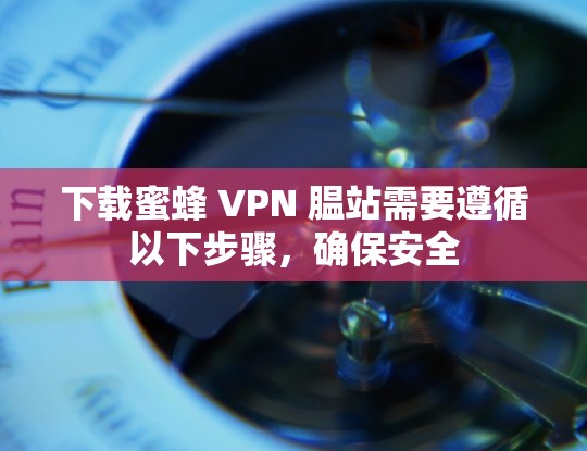 下载蜜蜂 VPN 腽站需要遵循以下步骤，确保安全