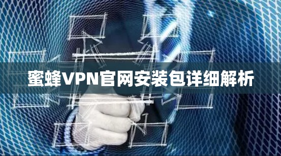 蜜蜂VPN官网安装包详细解析 蜜蜂VPN官网安装包详细解析