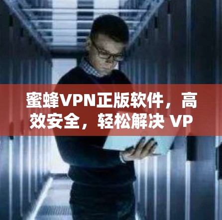 蜜蜂VPN正版软件,高效安全,轻松解决 VPN 问题 蜜蜂VPN正版软件,高效安全,轻松解决 VPN 问题