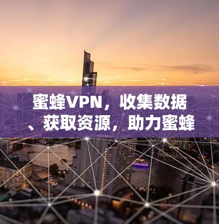 蜜蜂VPN,收集数据、获取资源,助力蜜蜂收集 蜜蜂VPN,收集数据、获取资源,助力蜜蜂收集