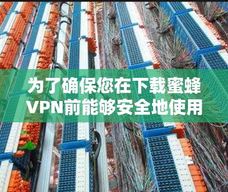 为了确保您在下载蜜蜂VPN前能够安全地使用该软件,以下是一些关键步骤和建议 为了确保您在下载蜜蜂VPN前能够安全地使用该软件,以下是一些关键步骤和建议
