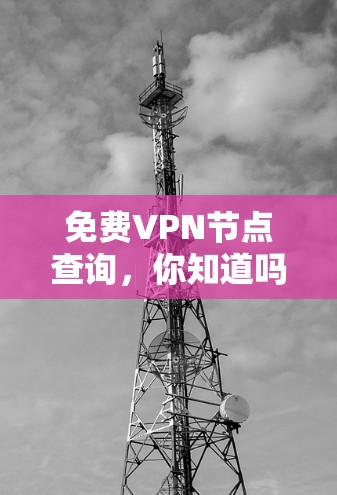 免费VPN节点查询，你知道吗？这些步骤可能让你完全放心