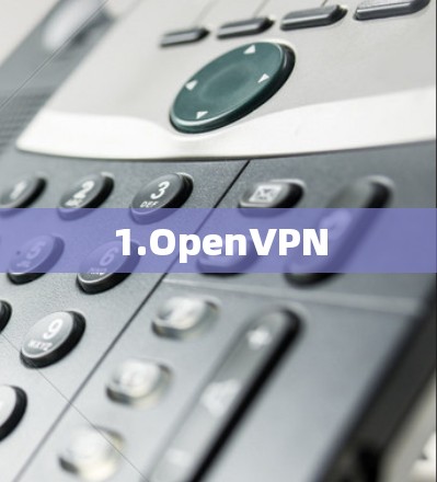1.OpenVPN 1.OpenVPN