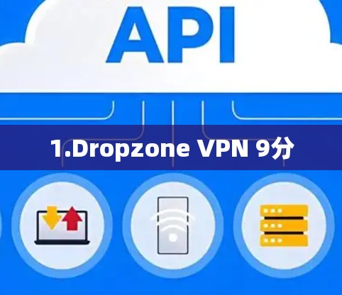 1.Dropzone VPN 9分 1.Dropzone VPN 9分