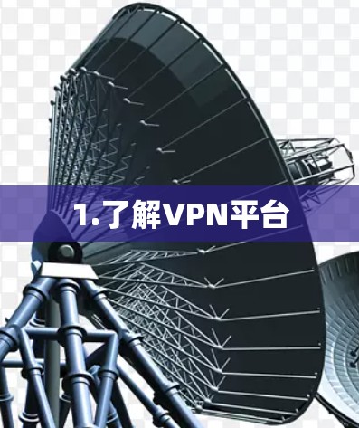 1.了解VPN平台 1.了解VPN平台