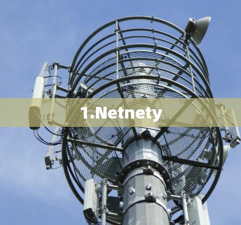 1.Netnety 1.Netnety